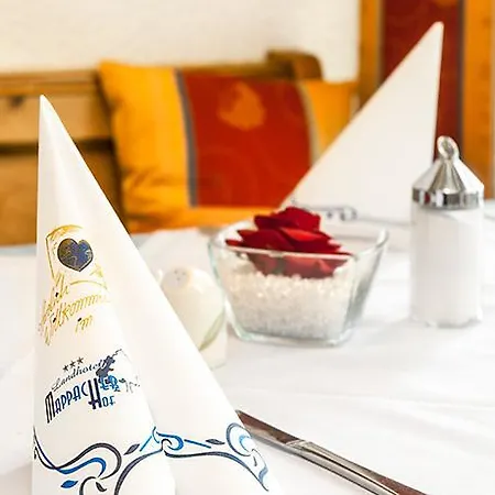 Mappacher Hof Hotel 3*